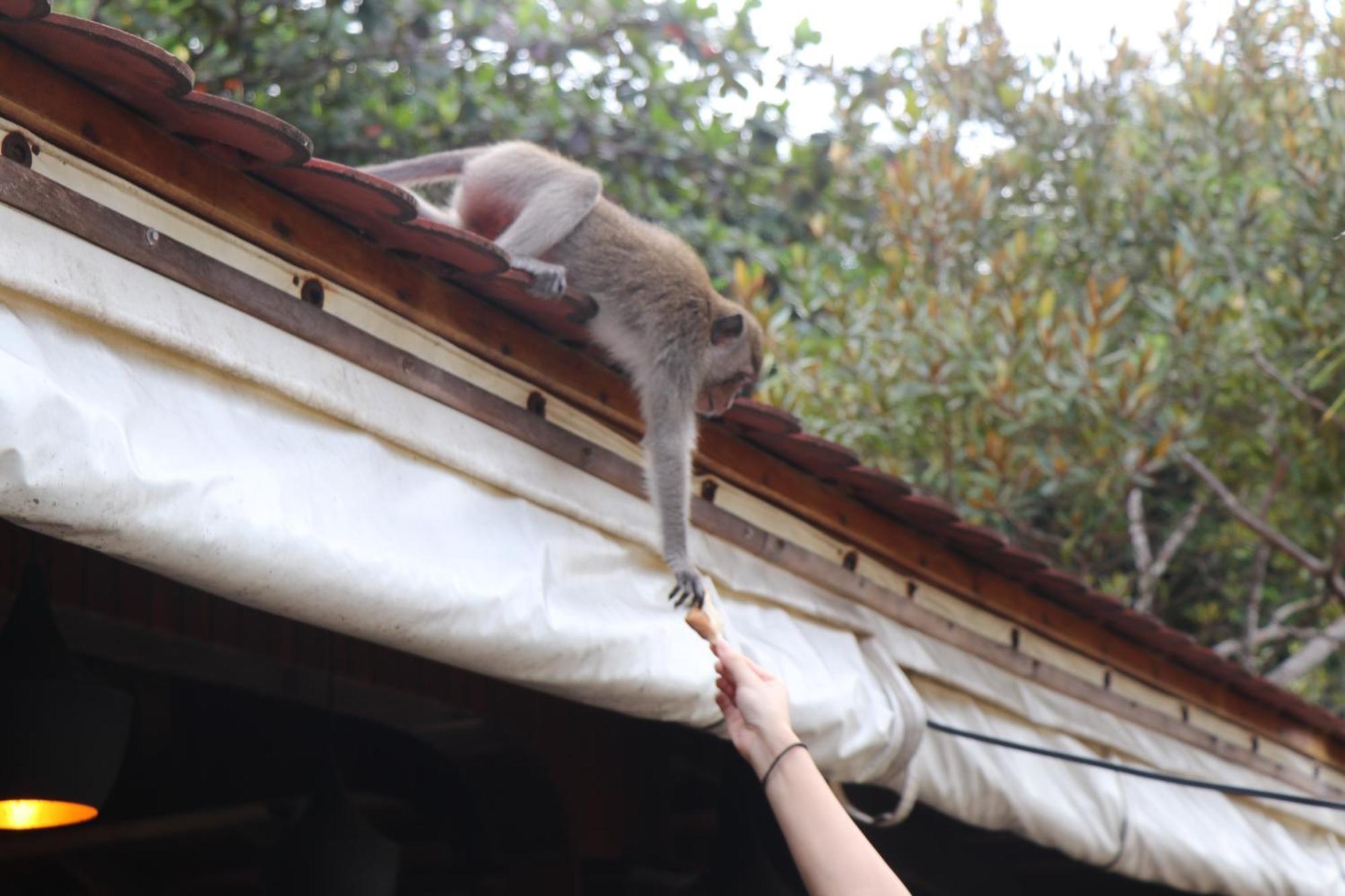 Tree House Bungalows Kaoh Touch 外观 照片